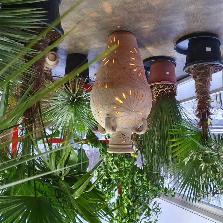 Lampion to świecące amfora ceramiczna dzwan ceramiczny wśród palm.jpg